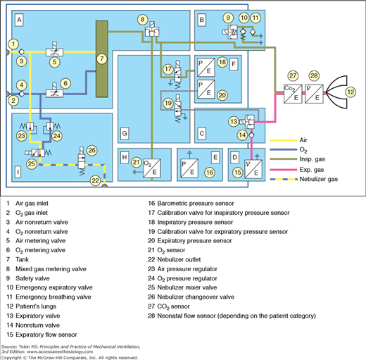 Pneumatic Schematic of a Mechanical Ventilator